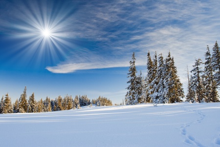 A frosty and sunny day is in mountains