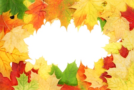 Frame with colored autumn maple leaves