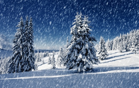 Beautiful winter landscape with snow covered trees.の写真素材