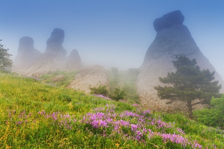 The magic morning in the mountains landscapeの写真素材