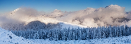 A frosty and sunny day is in mountains