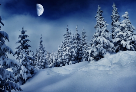 Beautiful winter landscape with snow covered trees.の写真素材