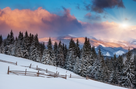 Beautiful winter landscape with snow covered trees. Carpathian, Ukraine, Europe. Beauty world.の写真素材