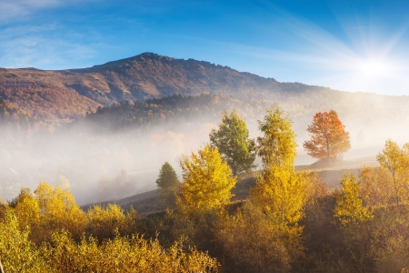 Majestic morning mountain landscape with colorful forest and blue sky. Autumn leaves. Carpathian, Ukraine, Europe. Beauty world.の写真素材