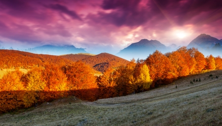 Majestic morning mountain landscape with colorful forest. Dramatic overcast sky. Carpathian, Ukraine, Europe. Beauty world.の写真素材