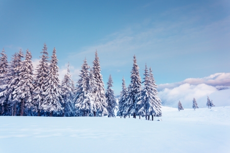 Fantastic winter landscape. Blue sky. Carpathian, Ukraine, Europe. Beauty world. の写真素材