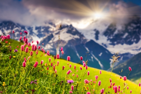 Dramatic sky at the foot of  Mt. Shkhara. Upper Svaneti, Georgia, Europe. Caucasus mountains. Beauty world.の写真素材