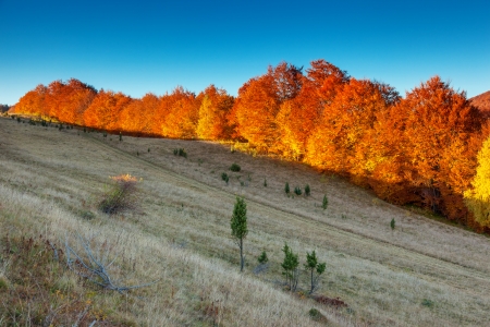 Majestic morning mountain landscape with colorful forest and blue sky. Autumn leaves. Carpathian, Ukraine, Europe. Beauty world.の写真素材