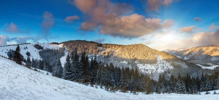 A frosty and sunny day is in mountains. Carpathian, Ukraine.の写真素材
