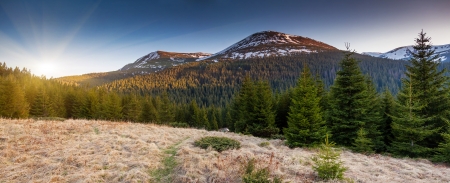 Majestic sunrise in the mountains landscape. Carpathian, Ukraine. Europeの写真素材