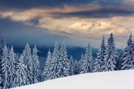 Majestic sunset in the mountains landscape. Carpathian, Ukraine.の写真素材