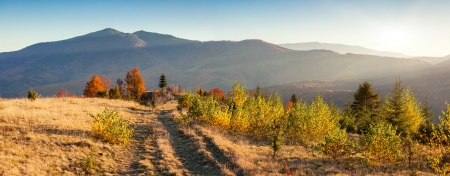 Majestic morning mountain landscape with colorful forest and blue sky. Autumn leaves. Carpathian, Ukraine, Europe. Beauty world.の写真素材