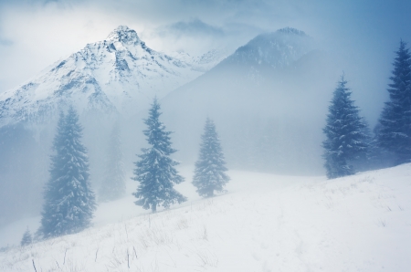 Fantastic winter landscape. Dramatic overcast sky. Creative collage. Beauty world.の写真素材