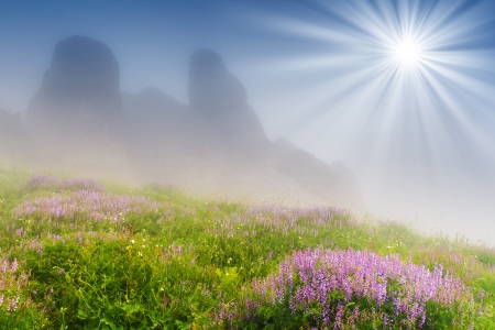 The magic morning in the mountains landscapeの写真素材
