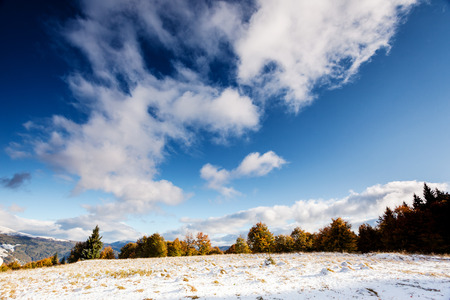 Beautiful colorful autumn leaves in the forest. Overcast blue sky. Carpathian, Ukraine, Europe. Beauty world.の写真素材