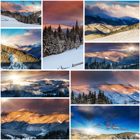 Creative collage of many nature photos. Carpathian, Ukraine, Europe. Beauty world.の写真素材