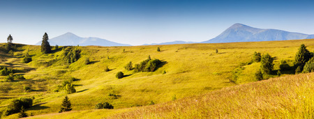 Fantastic yellow hills with summer blue sky. Carpathian, Ukraine, Europe. Beauty world.の写真素材
