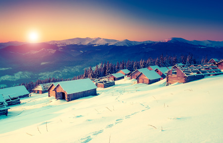 Amazing mountains in the morning sunlight. National Park. Carpathian, Ukraine, Europe. Beauty world....