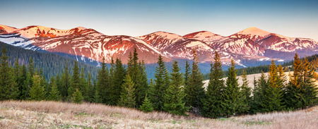 Fantastic sunny day is in mountain landscape in Carpathian, Ukraine