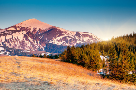 Fantastic sunny day is in mountain landscape in Carpathian, Ukraine