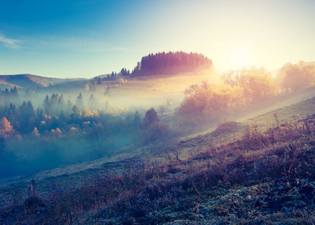 Fantastic sunny hills under morning sky. Dramatic scenery in Carpathian, Ukraine Fantastic sunny hills under morning sky. Dramatic scenery in Carpathian, Ukraine