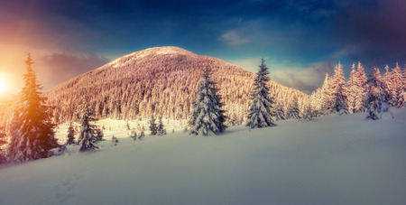 Fantastic evening landscape glowing by sunlight. Dramatic wintry scene. Natural park. Carpathian, Ukraine, Europe. Beauty world. Retro filter.の写真素材
