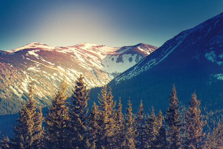 Majestic view of snowy peaks glowing by sunlight. Dramatic morning scene in Carpathian, Ukraineの写真素材