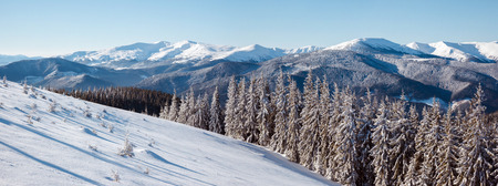 Majestic landscape glowing by sunlight in the morning. Dramatic wintry scene. Carpathian national park, Ukraineの写真素材
