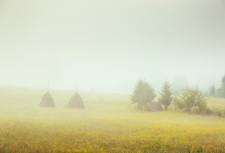 Gloomy morning with dramatic and picturesque scene.の写真素材