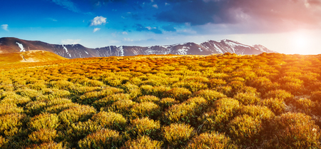 Nice view of the green hills which glowing by sunlight. Dramatic and picturesque scene. Location place Carpathian, Ukraine, Europe. Beauty world. Retro and vintage styleの写真素材