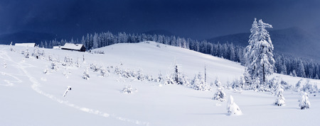 Trees covered with hoarfrost and snow in mountains. Mountain house