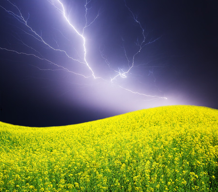 summer storm beginning with lightningの写真素材