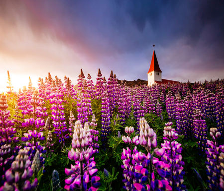 Great view of Vikurkirkja christian church in evening light. Dramatic and picturesque scene. Popular tourist attraction. Location famous place Vik i Myrdal village, Icelandの写真素材