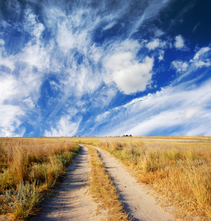 summer meadow and the beautiful blue skyの写真素材