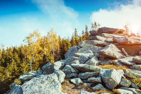 Great view of the valley which glowing by sunlight. Dramatic scene and picturesque picture. Location place Carpathian, Ukraine, Europe. Beauty world. Retro and vintage styleの写真素材