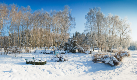A frosty and sun day is in parkの写真素材