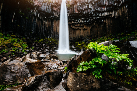 Great view of Svartifoss waterfall. Dramatic and picturesque scene. Popular tourist attraction. Location famous place Skaftafell National Park, Vatnajokull glacier, Iceland, Europe. Beauty world.の写真素材