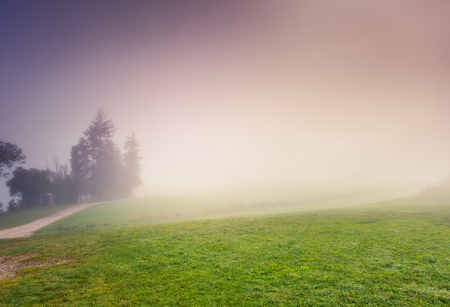 Morning view of the lawn through dense fog. Dramatic scene and picturesque picture. Location place Triglav national park, Bohinj valley, Julian Alps, Slovenia, Europe. Discover the world of beauty.の写真素材