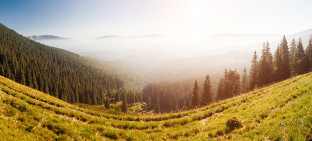 Scenic image of misty valley in the sunlight. Locations Carpathian national park Ukraine, Europe. Perfect wallpapers. Explore the environment. Discover the beauty of earth. Great picture of wild areaの写真素材