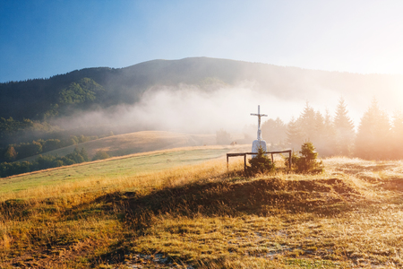 Scenic image of misty valley in the sunlight. Locations Carpathian national park Ukraine, Europe. Perfect wallpapers. Explore the environment. Discover the beauty of earth. Great picture of wild areaの写真素材