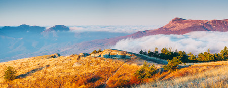 Picture of a scenic valley in morning light. Location Crimea, Crimean peninsula, Ukraine, Europe. Perfect wallpapers. Discover the beauty of earth. Great photo of wild area. Concept of active tourism.の写真素材
