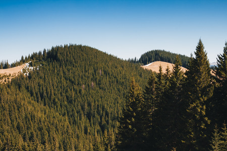 Scenic image of snowy peaks in the sunlight. Location Carpathian national park Ukraine, Europe. Perfect wallpapers. Drone photography. Discover the beauty of earth. Great picture of wild area.の写真素材