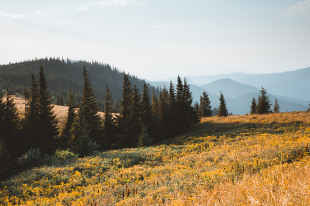 Location Carpathian national park, Ukraine, Europe. Perfect moment in alpine highlands. Scenic image of hiking concept. Awesome wallpapers. Idyllic adventure vacations. Discover the beauty of earth.の写真素材