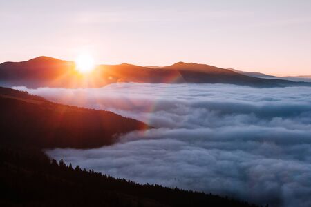 Perfect morning moment in alpine foggy valley. Location Carpathian national park, Ukraine, Europe....
