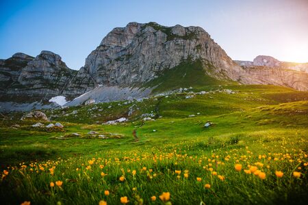 Idyllic summer day in the Durmitor National park. Location place Sedlo pass, village Zabljak, Montenegro, Balkans, Europe. Scenic image of popular travel destination. Discover the beauty of earth.の写真素材