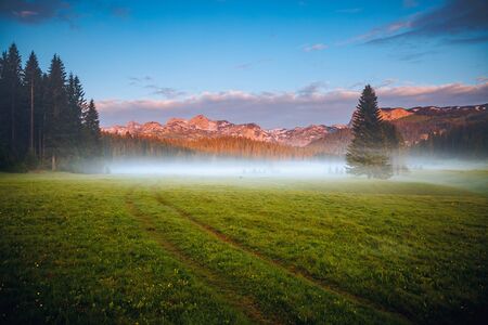 Misty summer day in the Durmitor National park. Location place village Zabljak, Montenegro, Balkans, Europe. Scenic image of peaceful alpine valley. Travel destination. Discover the beauty of earth.の写真素材