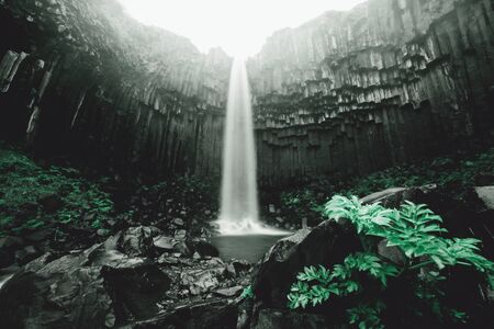 Amazing view of Svartifoss waterfall. Scenic image of beautiful nature landscape. Popular tourist...