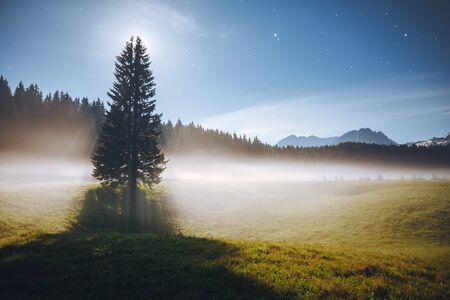 Misty summer night in the Durmitor National park. Location place village Zabljak, Montenegro, Balkans, Europe.の写真素材