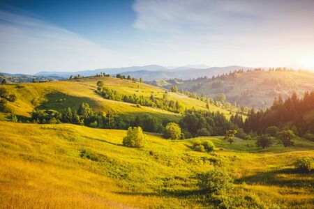 Fantastic countryside landscape in morning light. Location place Carpathian mountains, Ukraine, Europe. An attractive summer scene on a sunny day. Seasonal background. Discover the beauty of earth.の写真素材