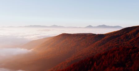 Perfect morning moment in alpine foggy valley. Location Carpathian national park, Ukraine, Europe....